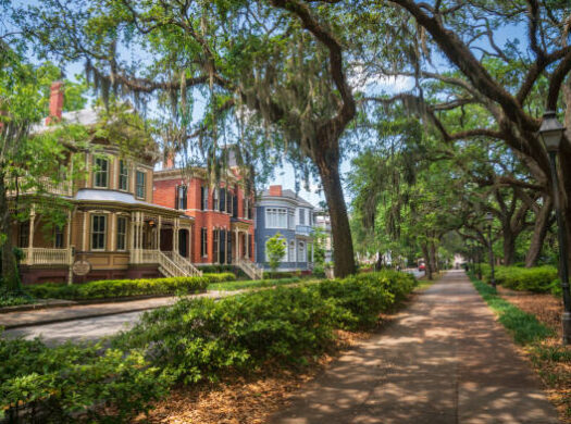 Historic homes with wide porches under live oaks draped in Spanish moss, Savannah GA