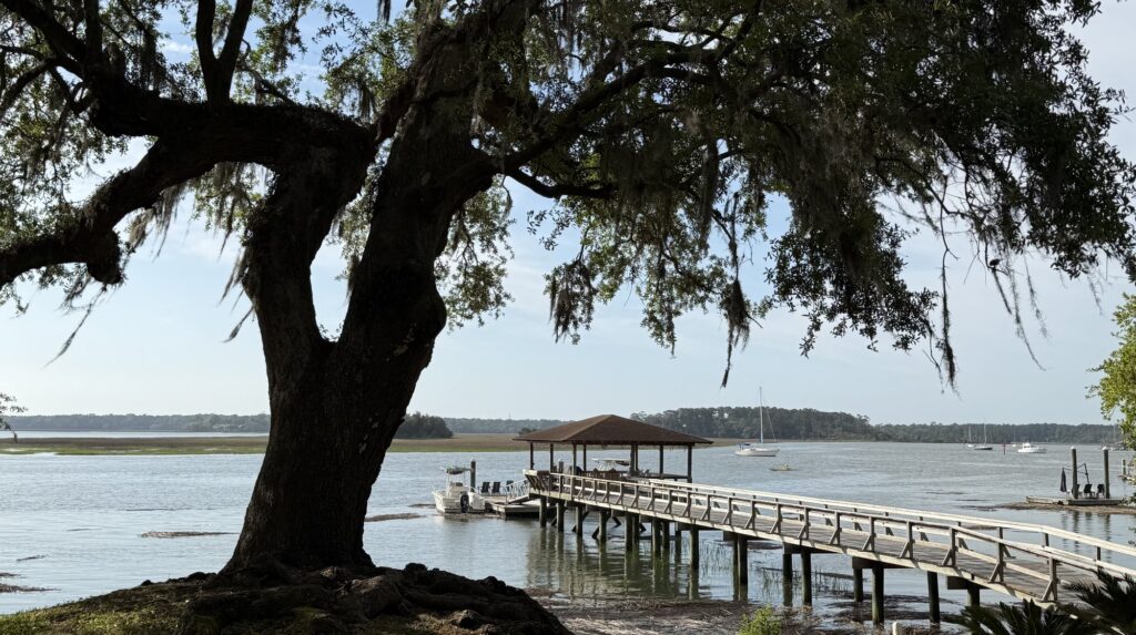 Live oak draped in Spanish moss over a private dock on the marsh in Isle of Hope, Savannah GA